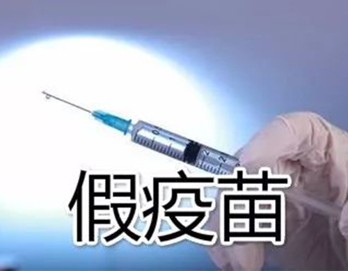 非洲豬瘟有疫苗了？假的！