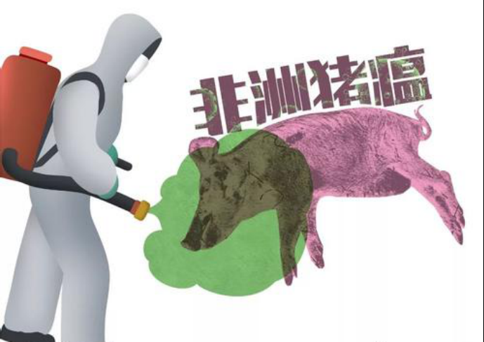 非瘟日常防控三要點：外防、內(nèi)控和提免