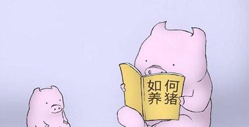 給豬用藥的幾大誤區(qū)！